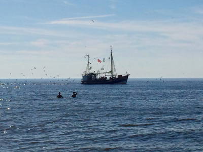 Krabbenkutter vor der Küste