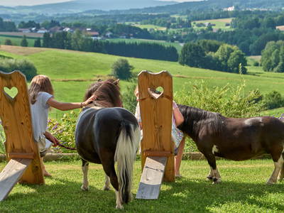 Bild 40 aus  Urlaub am Schoffahanslof im Bayerischen Wald: Natur, Abenteuer & Erholung für die ganze Familie“