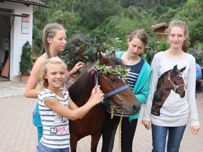 Beauty-Programm für die Pony´s