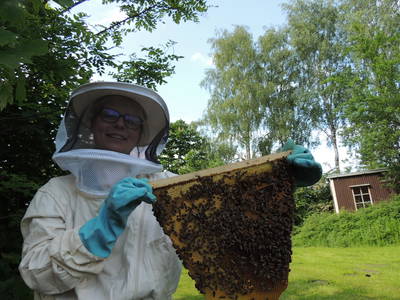 Bild 7 aus  Schümannhof