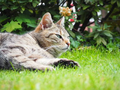 Bild 23 aus  Ferienhof Wübbold