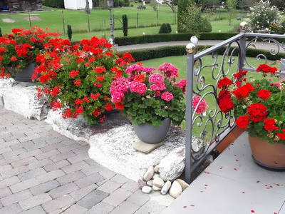 Bild 12 aus  Feriendomizil Berta Benzingen