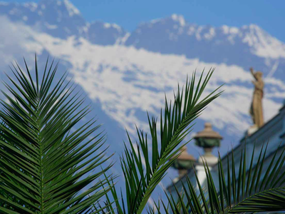 Bild 58 aus  Wiesbauer - Urlaub in Schenna - Südtirol