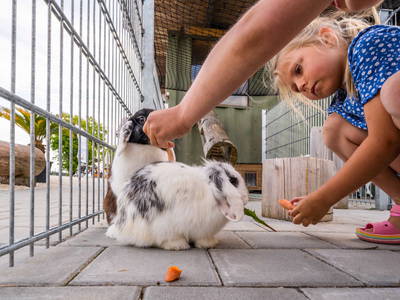 Bild 39 aus  Ferienwohnungen Wagner