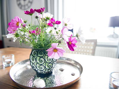 Bild 12 aus  Hof Osterholz