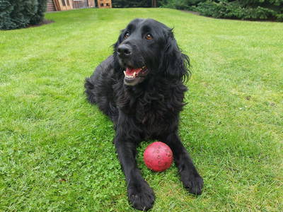 Bild 21 aus  Ferienhof Wegmann