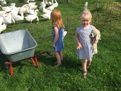 Bild 17 aus  Dreiseithof Schmadebeck