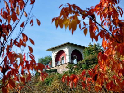 Bild 23 aus  Weingut Butzbach