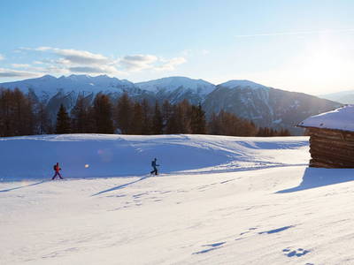 Bild 32 aus  Kreuzplon