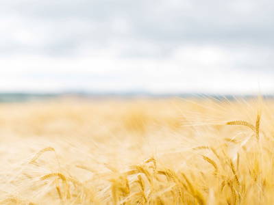 Bild 23 aus  The Hideaway Experience