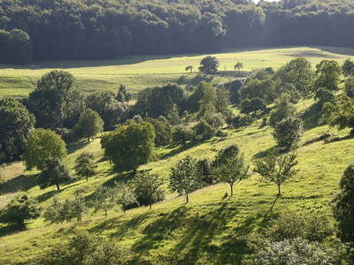 Bild 17 aus  Martiburhof - Ferien auf dem Bauernhof