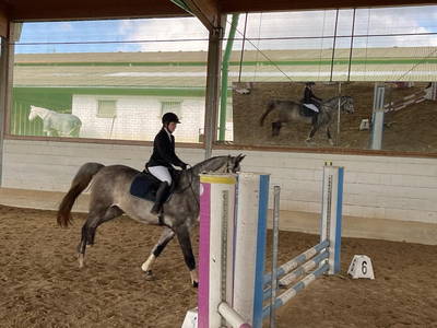 Bild 8 aus  Reitschule Fuchsenhof FN