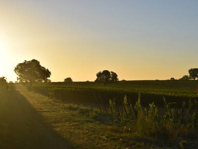 Bild 14 aus  Ferienhaus Am Steingebiss