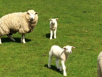 Bild 16 aus  An der See.de