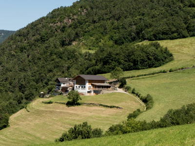 Bild 8 aus  Gfinkerhof