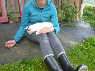 Bild 32 aus  Haberlhof