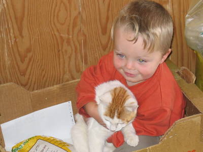 Bild 14 aus  Stalterhof