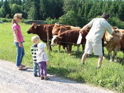 Bild 16 aus  Sunmattehof