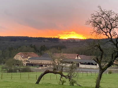 Bild 4 aus  Gutshof Hungerburg