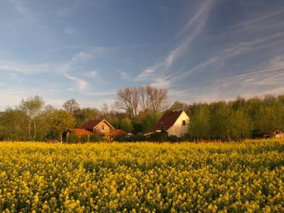 Bild 58 aus  Erlenhof im Oderbruch - Rund ums Schaf