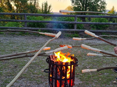 Bild 11 aus  Meisterbauer-Hof