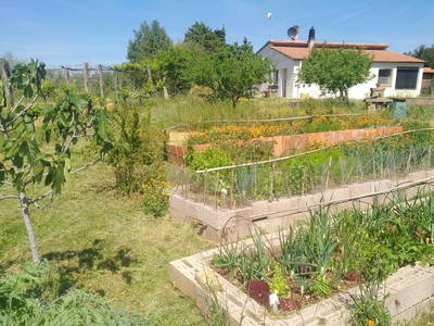 Bild 7 aus  Landhaus in der Toskana