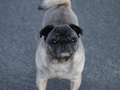 Bild 31 aus  Katrin's Ferienhof