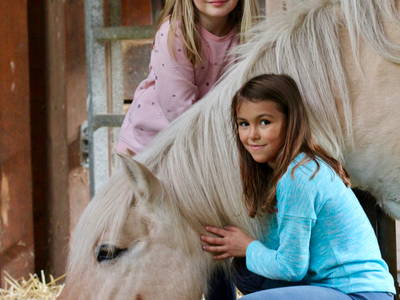 Bild 6 aus  Ponyhof Meier