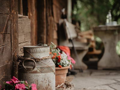 Bild 40 aus  Griesbachhof