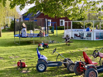 Bild 70 aus  Ferienhof Messer  Bauernhofurlaub  Ostseenähe  Ponys