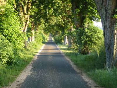 Bild 7 aus  ÜbermSee