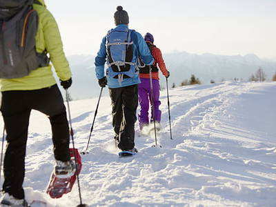 Bild 42 aus  Raffreiderhof