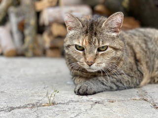 Bild 33 aus  Ferienwohnung Schöner Winkel