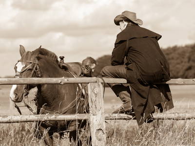 Bild 26 aus  FerienGut Dalwitz     www.feriengutdalwitz.de