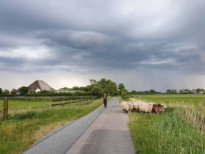 Bild 19 aus  Ferienhof   Witte Haubarg                -  2025 Beliebtester Ferienhof für Familienurlaub