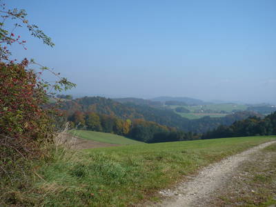 Bild 40 aus  Endlhof