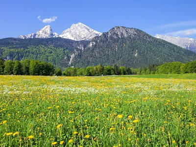 Bild 13 aus  Triembachhof