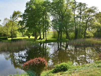 Bild 5 aus  Alte Ausspanne