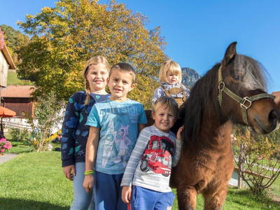 Bild 9 aus  Wieserhof