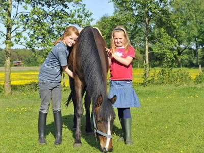 Bild 18 aus  LandSelection Landferienhof Garbert
