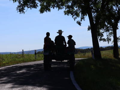 Bild 29 aus  Burgbauernhof am Katzenstein - Ursprünglichkeit des Landlebens gepaart mit Gesundheit und Luxus