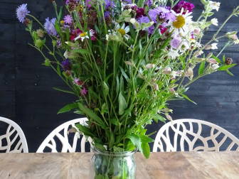 Bild 38 aus  Ferienhof Busch