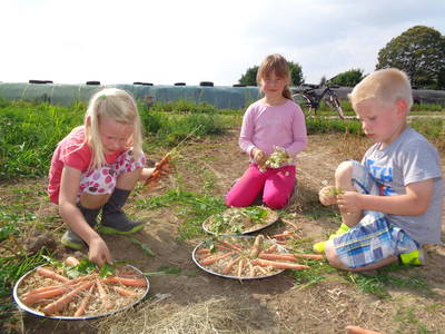 Bild 15 aus  Enkenshof