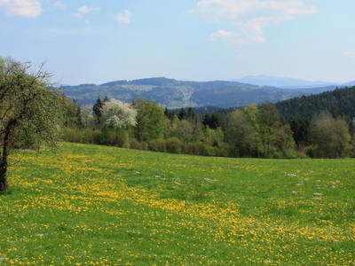 Bild 17 aus  Ferienhof Kopp