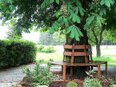 Bild 3 aus  Pferde- und Freizeithof Koplin