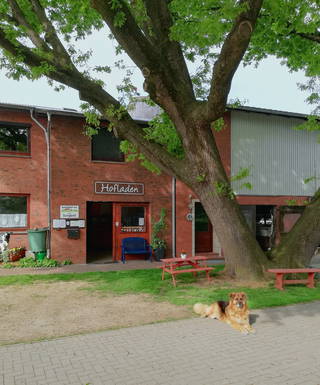 Eichenhof Grauel aus Grauel