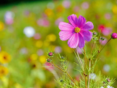 Bild 19 aus  Edlgütl Dein Hideaway