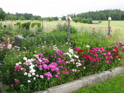 Bild 19 aus  Ferienhof Buchberger