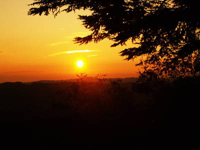 Bild 36 aus  Der Ofenmacherhof  Urlaub am Bauernhof