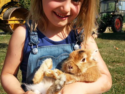 Bild 22 aus  Ferienhof Neudeck